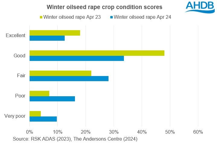 Chart showing GB winter oilseed rape conditions scores at the end of April 2023 and 2024